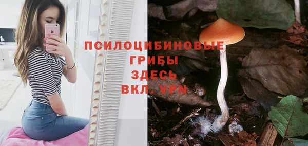 ПСИЛОЦИБИНОВЫЕ ГРИБЫ Армянск