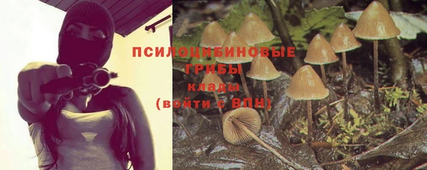 ПСИЛОЦИБИНОВЫЕ ГРИБЫ Армянск