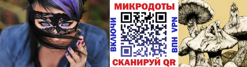 наркошоп  Артёмовский  Псилоцибиновые грибы Cubensis 